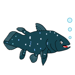 A mysterious deep-sea fish