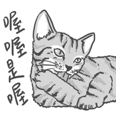 Annoying Cat - Mifu