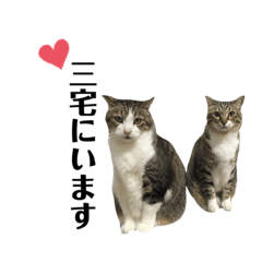 Haruna_20200923104557