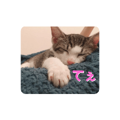 melon_20200923104803