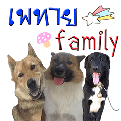 Paytai Family