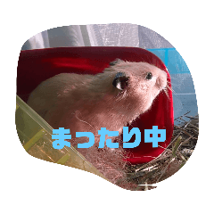 yunnosutanpu_20200923112144