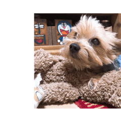 suzu_20200923015720