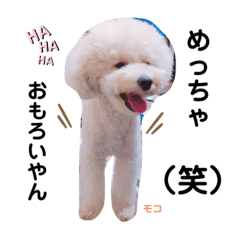 yuina_20200923085903