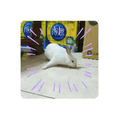 阿極哥