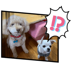 HIROKI_20200923131502