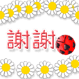 Animated flower shop(Taiwanese)