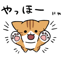 Red tabby and white cats sticker 2