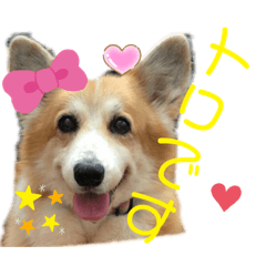 matsu_20200923150409