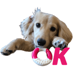 takashi_20200923144843