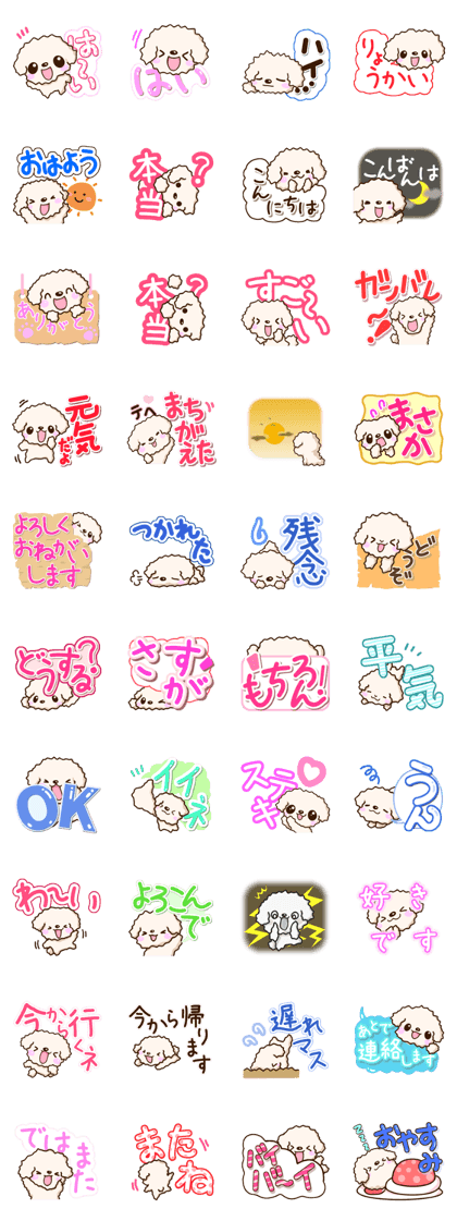 White Toy poodle.