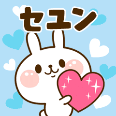 I Love "SeYoon"!