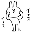 【基本セット②】シュールなウサギ
