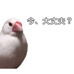 SUMIRE_20200923175712