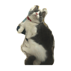 omochi_20200923153723