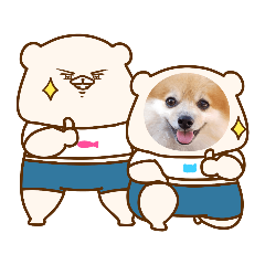 Pomeranian Monaka September 2020