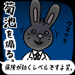 BlackRabbit(kikuchi)