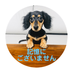 hana_20200923210118