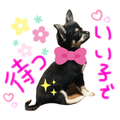 hana_20200923230053