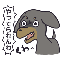 Slightly impertinent dog