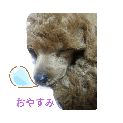 yami_20200923000703