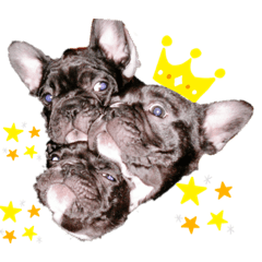 ayumi_20200923192644