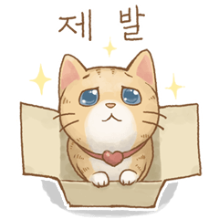 Cat's Lifestyle (Korean)