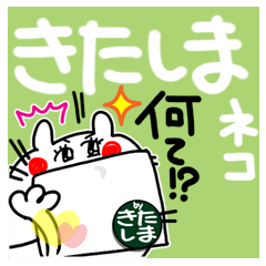[きたしま]ネコVS　コロナ。