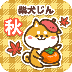 Shiba Jin in Autumn 2