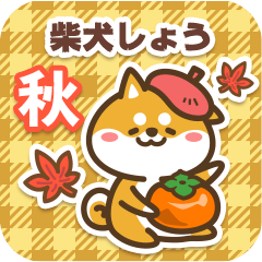 Shiba Shou in Autumn 2