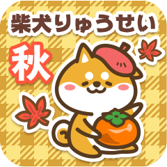 Shiba Ryuusei in Autumn 2