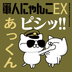 "AKKUN"name/Movie Military cat