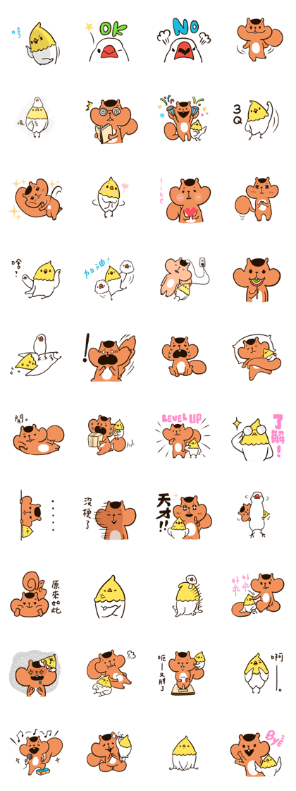 Bird and Squirrel - Let the show begin!