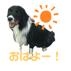 alice_20200924122359