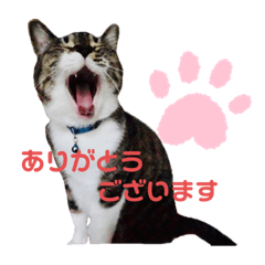 Mizuki_20200924132635