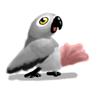 SoftParrots (African Greys)