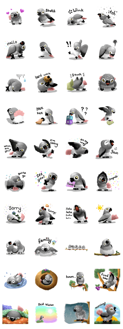 SoftParrots (African Greys)