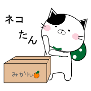 NEKOTAN of love
