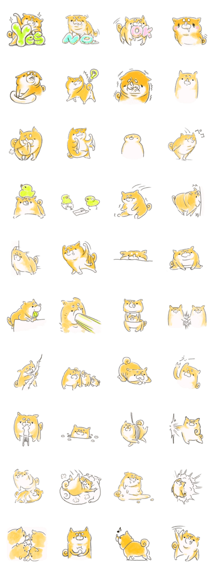 shiba-inu-wonderland-2