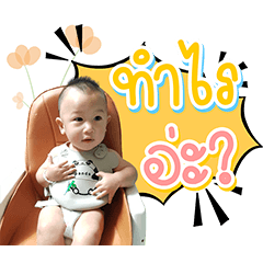 Heer Pupa krub