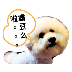 酷比是個特別可愛又鬼靈精怪的小孩子