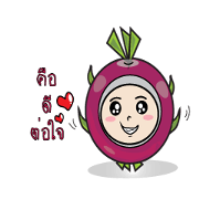 Dragon Fruit /(Jao-gaew-mang-gon)