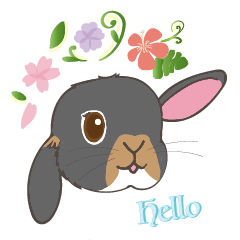 たれみみ黒うさぎと過ごす毎日