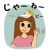 Parakeet owner 2