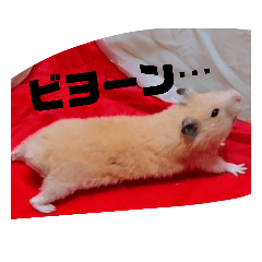 yunnosutanpu_20200923184534
