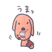 My dog is