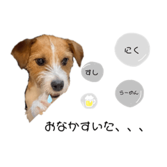 mizuki_20200924152728