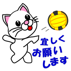 A white cat which plays dodgeball