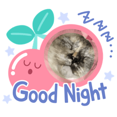 nanami_20200924160610