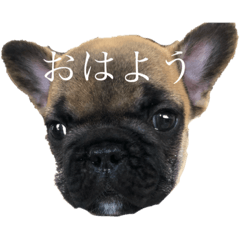 nanami_20200924144324